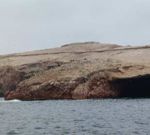 Ausflug Ballestas Inseln
