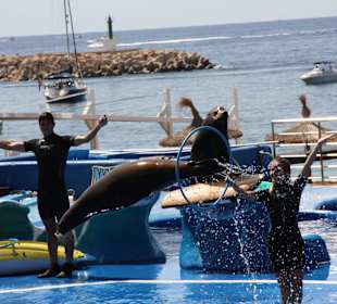 Marineland Mallorca