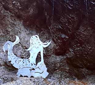 Nixenfall