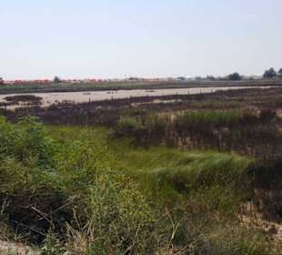 Blick Richtung Strand
