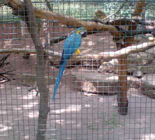 Zoo Erfurt