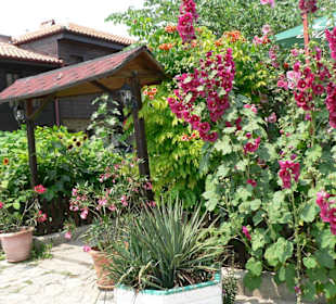 Eindrücke von Nessebar