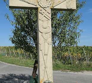 Bei einer Weinbergswanderung bei Sommerach
