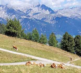 Wandern Luttach