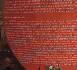 Fastnachtsmuseum Narrenschopf