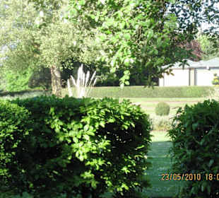 Abbey Park (Park (rezerwat, zoo, safari, itd.))