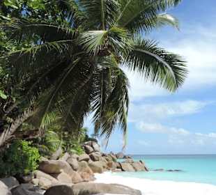 Traumbucht Georgette