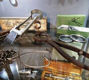 Tierärztliche Instrumente