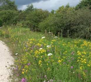 ALB-GOLD Naturgarten