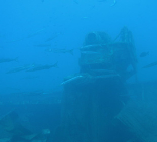 Yellow Submarine