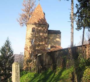 Sighisoara