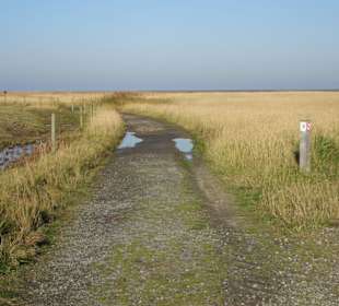 Rundweg durch den Langwarder Groden