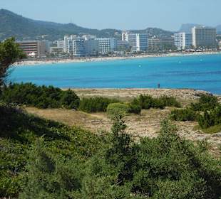 Wanderung auf Landzunge zw. Cala Millor u. Sa Coma