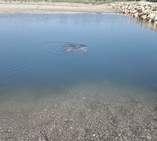 Stadtrundgang Belek - Bogazkent