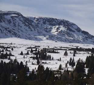 Villanderer Alm