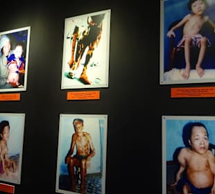 Bilder die aufrütteln und betroffen machen