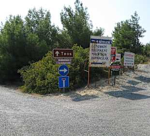 Jetzt nach Teos führt nur ein Weg