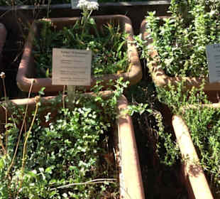 Klosterkirche Maria Gnadenzell