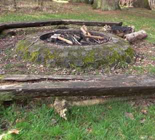 Wellingtonien - Platz mit Mammutbäumen