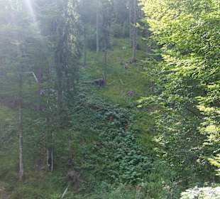 Parcul Natural Apuseni