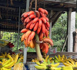 Rote Bananen