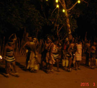 Krüger Nationalpark