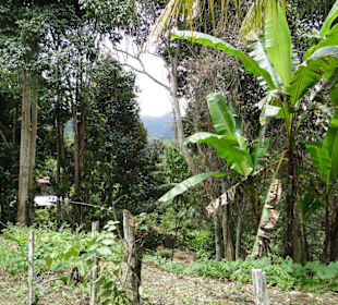 Ausflug Wildfife Expeditions- Rastplatz