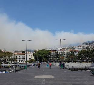 Brand in Funchal