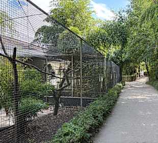 Irrland Bauernhof-Erlebnisoase