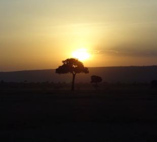 Untergehende Sonne in der Savanne