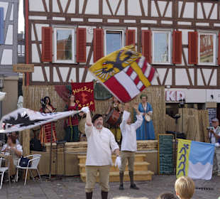 Fahnenschwenker Rathausplatz