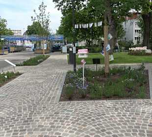 Stadtrundgang Balingen