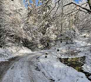Wandern Bad Lauterberg