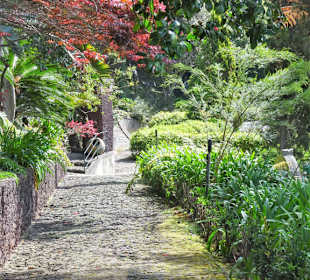 Rundgang durch den Monte Palace Tropical Garden