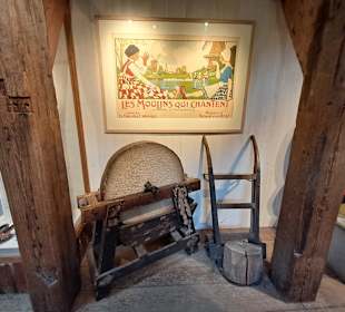 Freilichtmuseum Zaanse Schans in Zaandam