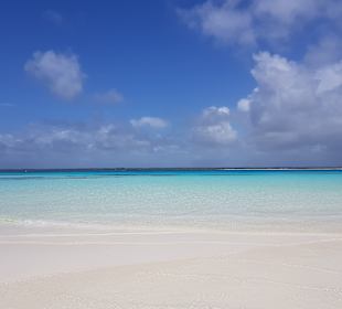 Mnemba Island
