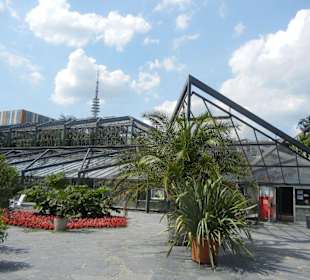 Parkanlage Planten un Blomen