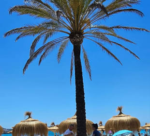 Platja Palmira