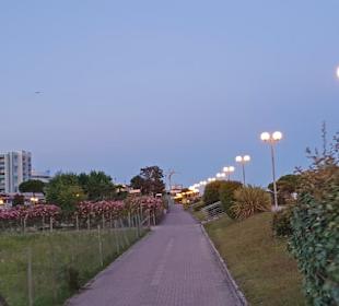 Radfahren in Bibi ein Gedicht