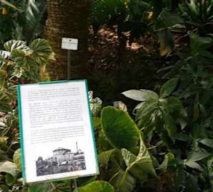 Botanischer Garten 