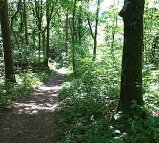 Wanderweg Sieben-Täler-Runde 