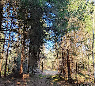 Ainringer Moor