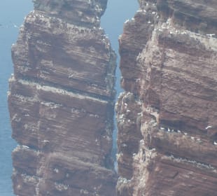 Auf der Insel Helgoland