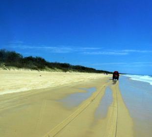 Fraser Island