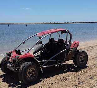 Buggy Tour
