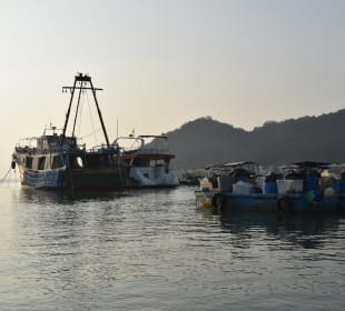 Fischerdorf Tai O Schnellboot-Tour