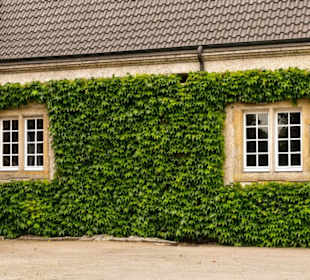 Schloss Westerwinkel 