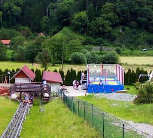 Sommerrodelbahn Gutach in Gutach im Schwarzwald