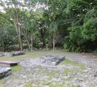 Ausflug mit Daniel zu den Maya Ruinen in Muyil