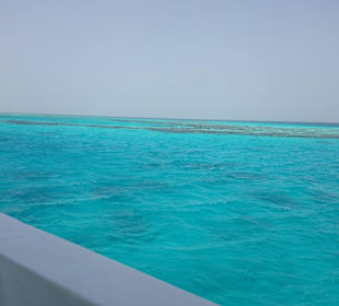 Was für ein traumhafter Anblick